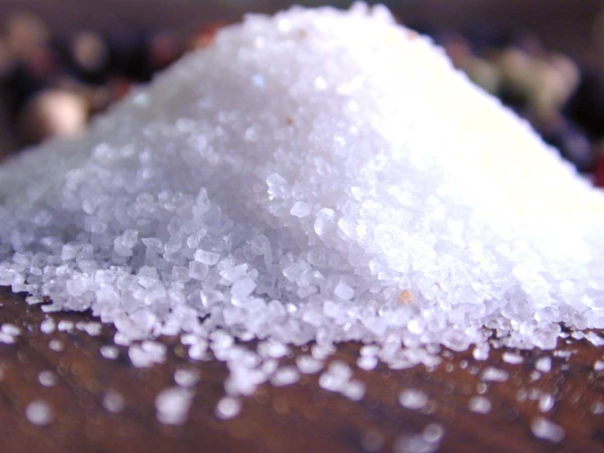 b1salt001